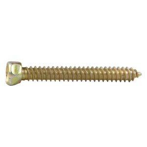 Top Speed Screws  #14(6.3)x20 YP